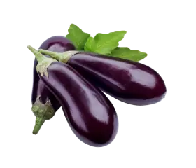 eggplant