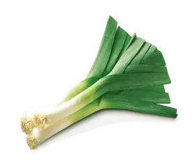 leek