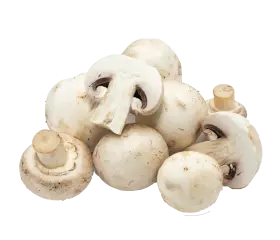 mushrooms